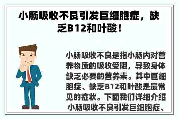 小肠吸收不良引发巨细胞症，缺乏B12和叶酸！